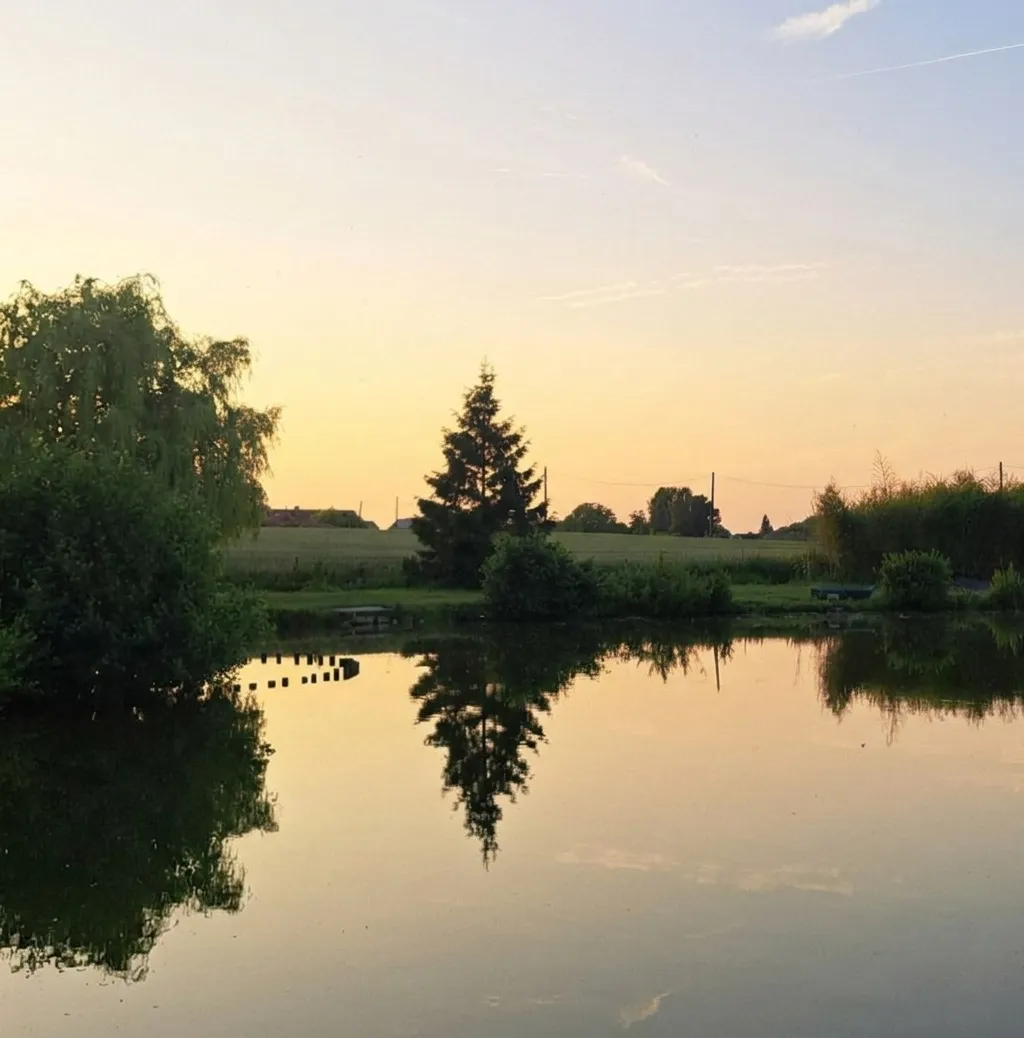 Vue sur l'étang de pêche à Velaines en Wallonie